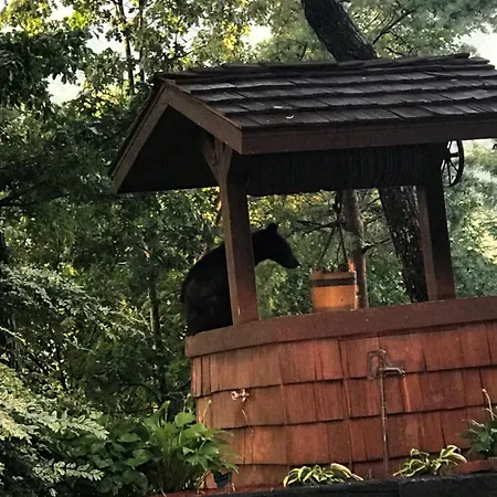 Cozy Cub, Breath Taking Mtn Views, Indoor Pool Apartment Gatlinburg Exterior photo